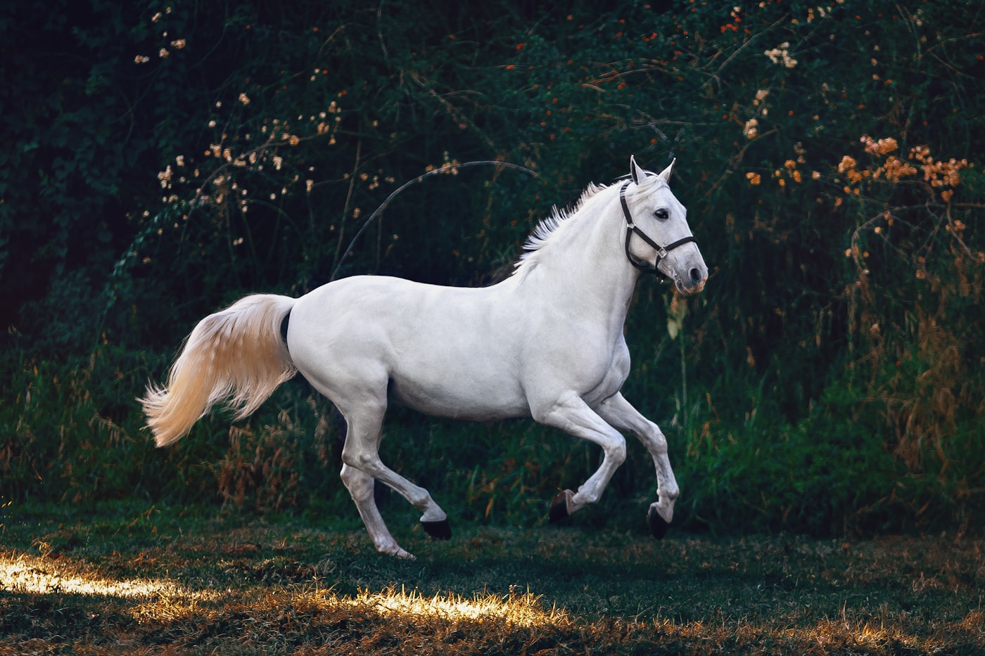 A Worming Rotation That Still Works: Resistance in Desert Yards